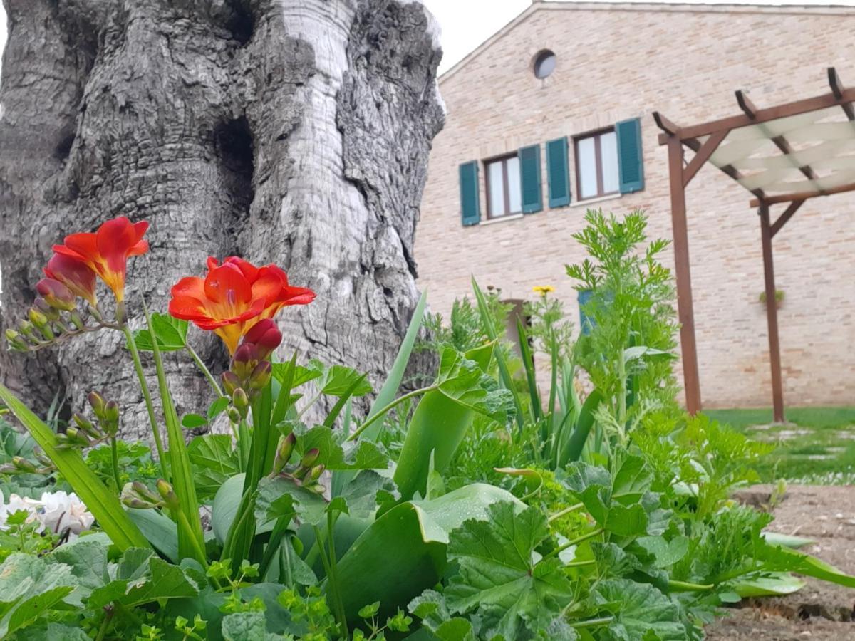 Casale Del Conero Aparthotel Porto Recanati Buitenkant foto